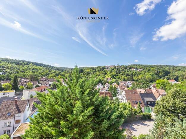 Einfamilienhaus zum Kauf 2.100.000 € 12 Zimmer 327 m² 2.128 m² Grundstück Stuttgart / Hedelfingen 70329