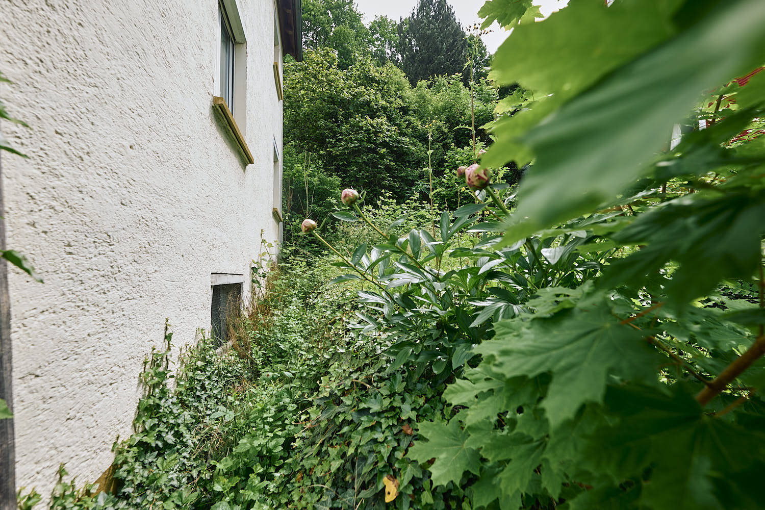Einfamilienhaus zum Kauf - Ansicht 6