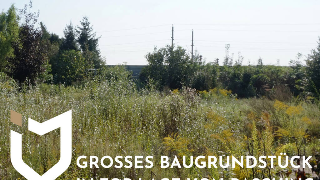 Grundstück zum Kauf 490.800 € 1.227 m² Grundstück Pasching 4061