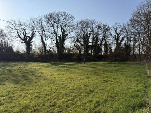 Grundstück zum Kauf 370.000 € 2.454 m² Grundstück Münstermaifeld 56294