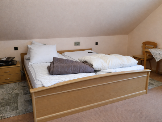 Laden zum Kauf als Kapitalanlage geeignet 385.000 € 200 m² 720 m² Grundstück Brodenbach 56332