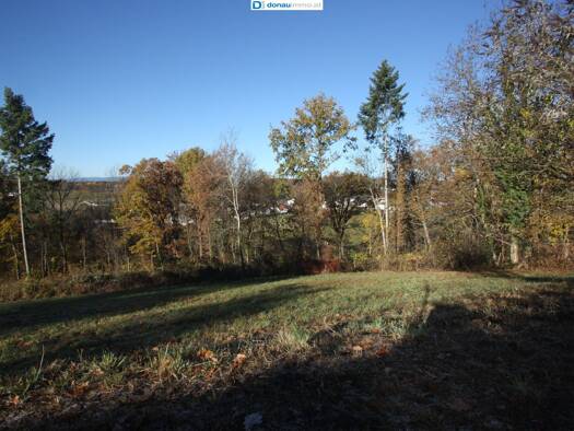 Grundstück zum Kauf 151.500 € 1.507 m² Grundstück Bad Tatzmannsdorf 7431