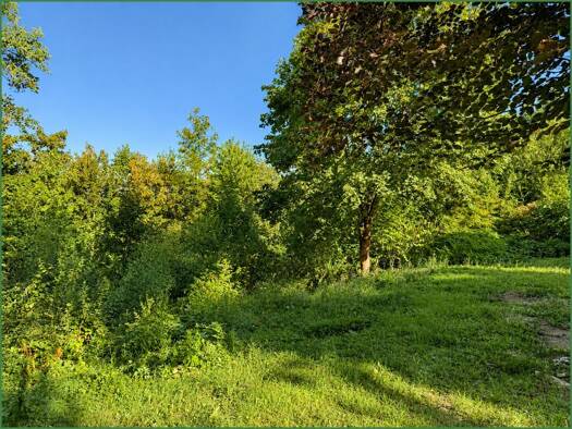 Grundstück zum Kauf 370.000 € 1.286 m² Grundstück Dabringhausen Wermelskirchen 42929