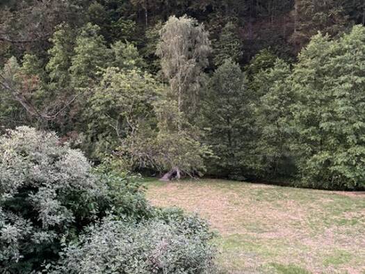 Wohnung zur Miete 780 € 2 Zimmer 59 m² frei ab 01.05.2026 Bad Herrenalb 76332