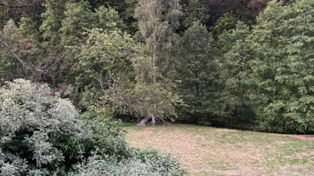 Wohnung zur Miete 780 € 2 Zimmer 59 m² frei ab 01.05.2026 Bad Herrenalb 76332