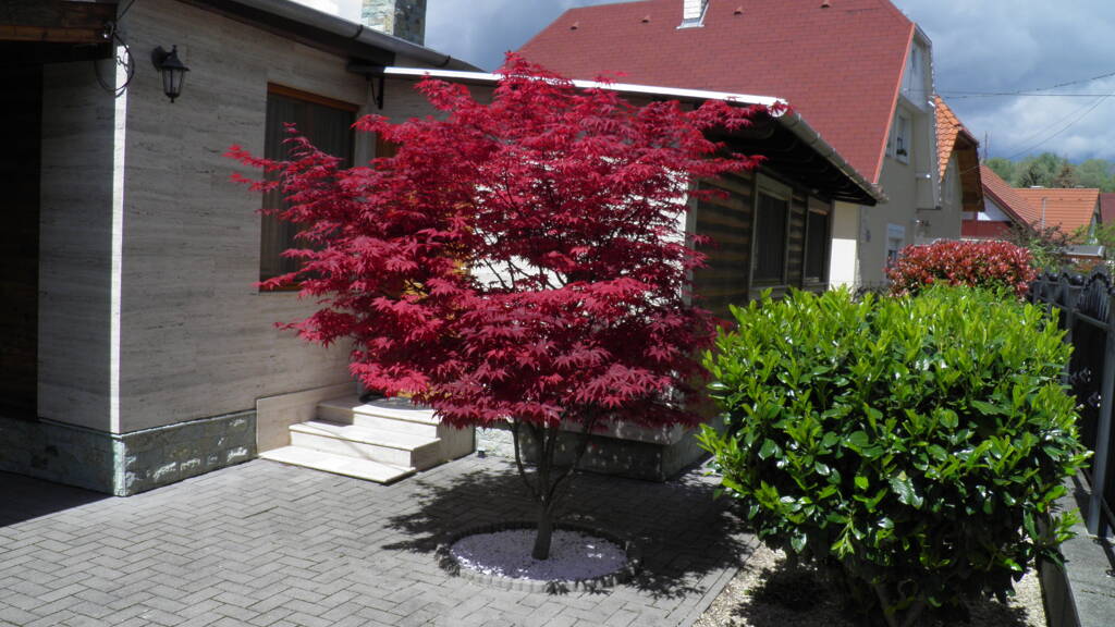 Haus zum Kauf provisionsfrei 216.000 € 2 Zimmer 68 m² 267 m² Grundstück frei ab sofort Balatongyörök