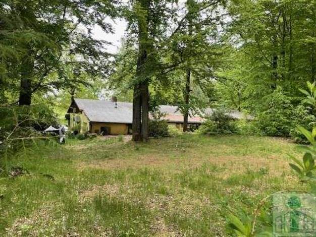 Einfamilienhaus zum Kauf 199.000 € 8 Zimmer 4.297 m² Grundstück Neukirch/Lausitz 01904