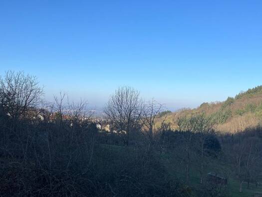 Wohnung zur Miete 900 € 4 Zimmer 110 m² Geschoss 1/3 frei ab 01.06.2026 Neusatz Bühl 77815