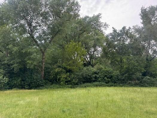 Wohnung zum Kauf 79.000 € 1 Zimmer 38 m² Neuhofen 67141