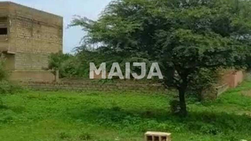 Grundstück zum Kauf 40.969 € 300 m² Grundstück Sindia