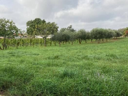 Grundstück zum Kauf 249.000 € 1.634 m² Grundstück Juršići