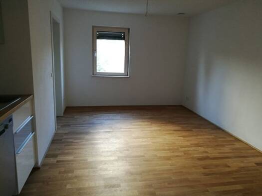 Wohnung zur Miete 425 € 1 Zimmer 25 m² Geschoss -1/2 frei ab 01.02.2026 Reutin Lindau (Bodensee) 88131