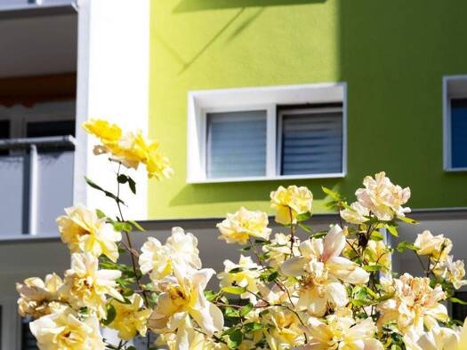 Wohnung zur Miete 400 € 4 Zimmer 71,7 m² 3. Geschoss Friedrich-Fubel-Straße 13 Silberhöhe Halle (Saale) 06132