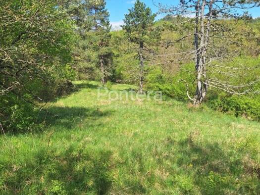 Acker-/Waldstück zum Kauf 47.000 € Pasjak, Matulji Matulji 51211