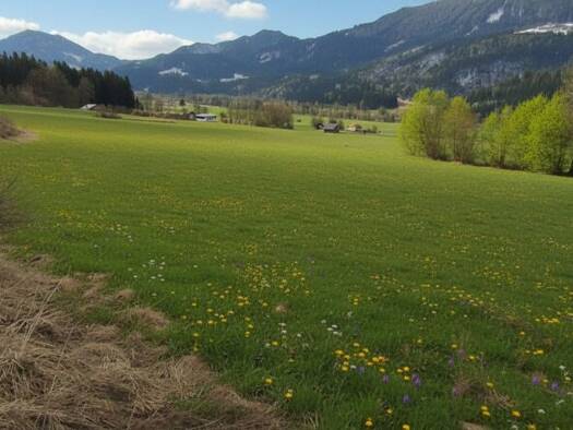Grundstück zum Kauf 54.000 € 850 m² Grundstück Berg im Drautal 9771