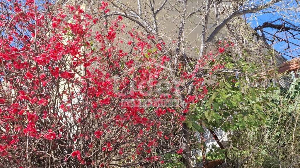 Haus zur Miete 1.050 € 3 Zimmer 70 m² Volosko, Opatija Pobri, Volosko