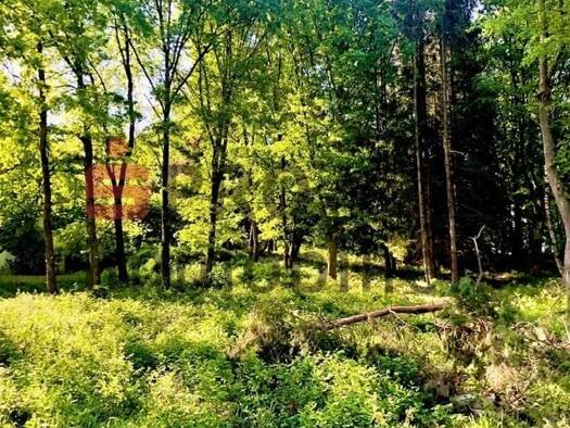 Grundstück zum Kauf 195.000 € 2.128 m² Grundstück Neunkirchen 66539