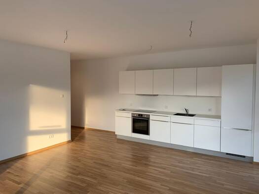 Wohnung zur Miete 1.035 € 2 Zimmer 69 m² Geschoss 2/3 frei ab 01.12.2026 Steinen 79585