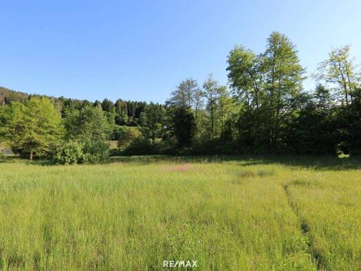 Grundstück zum Kauf 487.000 € 2.029 m² Grundstück Reifnitz 9081