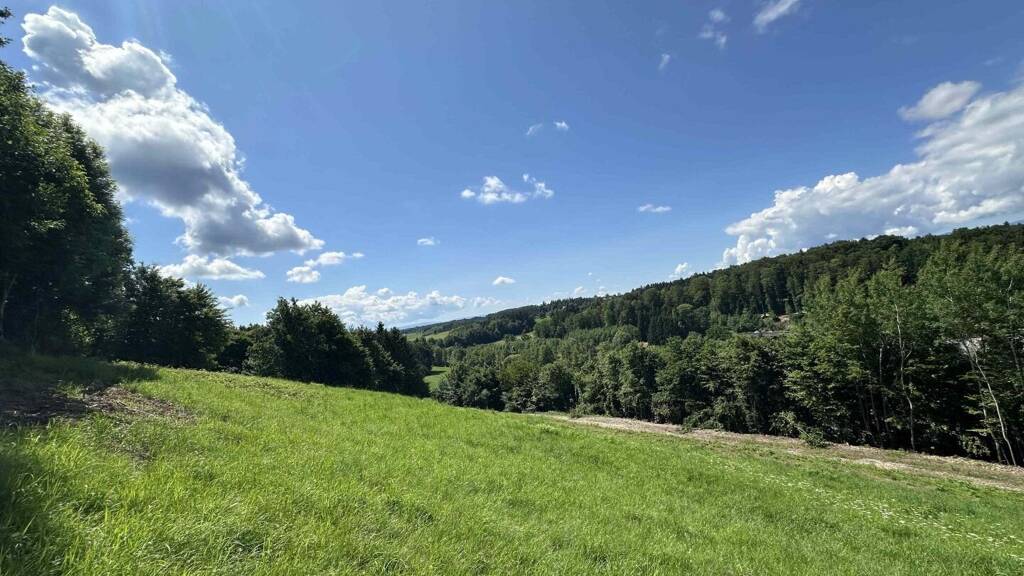 Grundstück zum Kauf 199.000 € 1.751 m² Grundstück Am Kaiserberg Lannach 8502