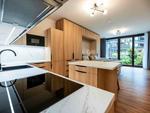 Terrassenwohnung zum Kauf - Neubau provisionsfrei 252.600 € 1 Zimmer 49,4 m² Leipziger Vorstadt Ortsamtsbereich Neustadt 01097