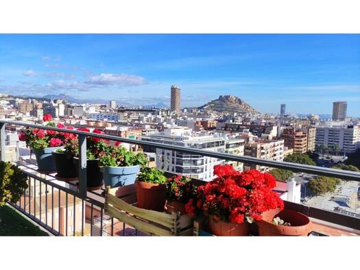 Wohnung zur Miete 1.250 € 4 Zimmer 150 m² 10. Geschoss Catedratico Soler  21 Alicante 03008