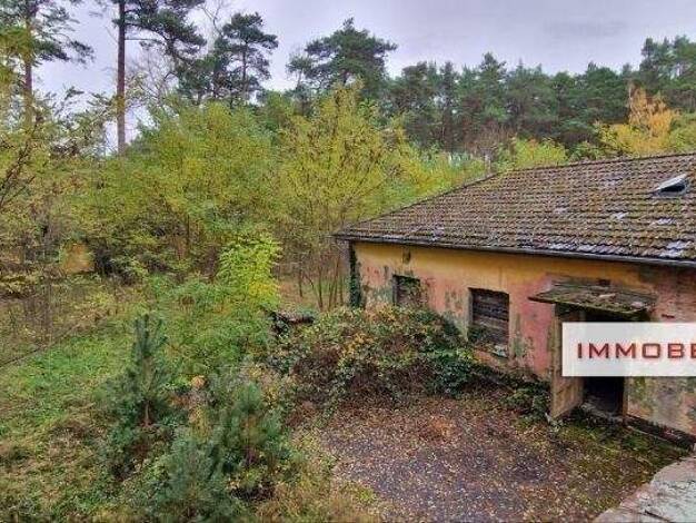 Einfamilienhaus zum Kauf 159.000 € 8 Zimmer 300 m² 3.200 m² Grundstück Buckautal 14793