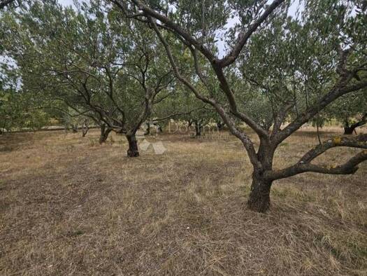 Acker-/Waldstück zum Kauf 185.000 € Kaštel Štafilić, Kaštela Kaštel Štafilić 21212