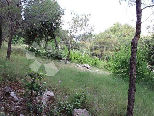Wohn- und Gewerbegrundstück zum Kauf 1 € Baderna, Poreč Poreč 52440