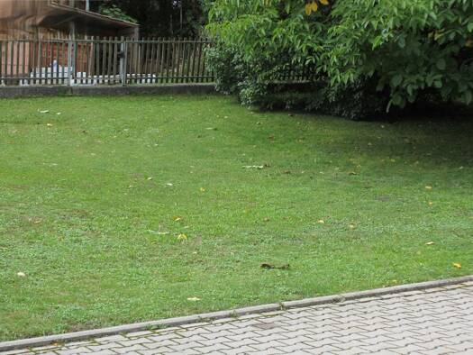 Grundstück zum Kauf provisionsfrei 97.000 € 293 m² Grundstück frei ab sofort Frauensattling Vilsbiburg 84137