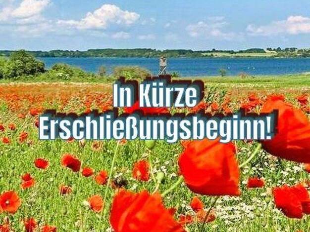 Grundstück zum Kauf provisionsfrei 228.000 € 827,4 m² Grundstück Kaltenhof Nordwestmecklenburg - Landkreis - Dassow 23942