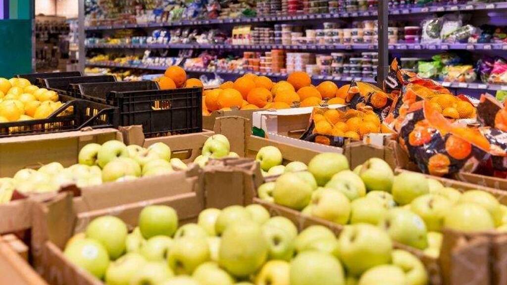 Laden zur Miete provisionsfrei 720 m² Verkaufsfläche Gruna Dresden 01277