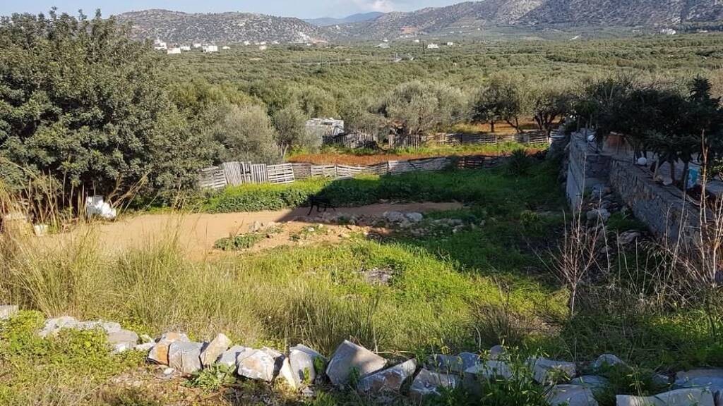 Grundstück zum Kauf 120.000 € 800 m² Grundstück Kreta Sisi 720 54
