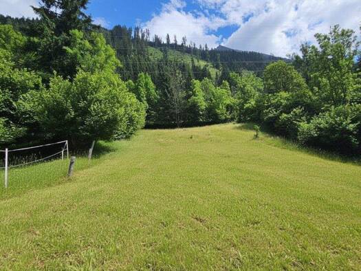 Grundstück zum Kauf 189.000 € 3.121 m² Grundstück Innerfragant 9831