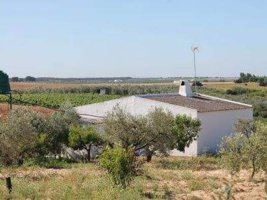 Bauernhaus zum Kauf provisionsfrei 135.000 € 4 Zimmer 120 m² 70.000 m² Grundstück Rociana del Condado 21720