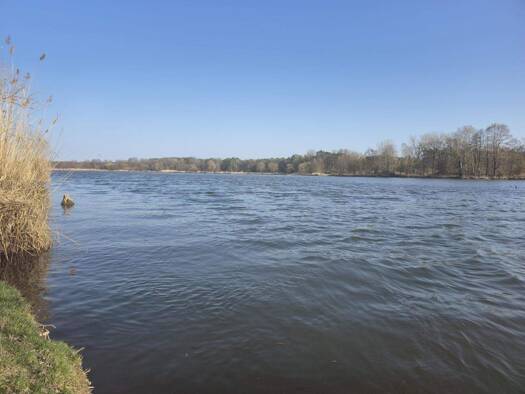 Einfamilienhaus zum Kauf 628.000 € 8 Zimmer 252,8 m² 2.024 m² Grundstück Groß Wasserburg Unterspreewald 15910