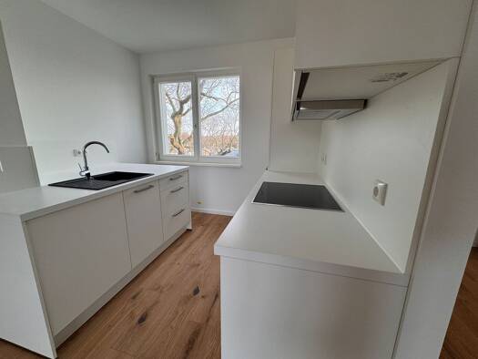 Penthouse zur Miete 1.960 € 3 Zimmer 70 m² Geschoss 4/5 frei ab 15.02.2026 Pasewalker Straße 96 Französisch Buchholz Berlin 13127
