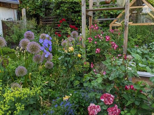 Doppelhaushälfte zum Kauf 469.000 € 7 Zimmer 160 m² 310 m² Grundstück frei ab sofort Birkenfeld 75217