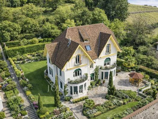 Villa zum Kauf 700 m² Montreux 1820