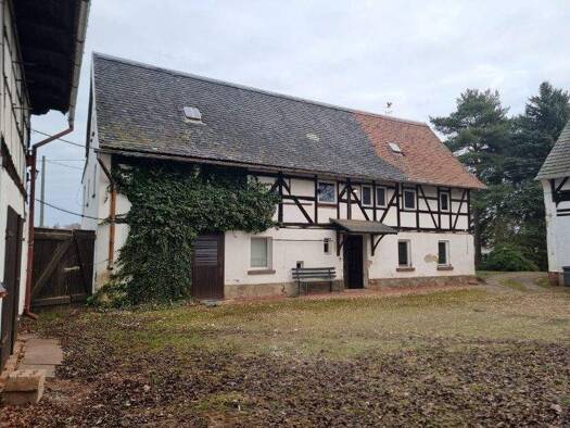 Bauernhaus zum Kauf 98.000 € 5 Zimmer 170 m² 4.850 m² Grundstück Werdau 08412