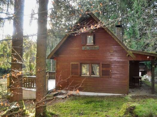 Bungalow zum Kauf 195.000 € 4 Zimmer 48 m² 12.095 m² Grundstück Wülfersreuth Bischofsgrün 95493