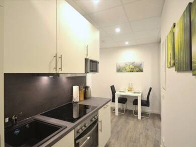 Studio zur Miete 745 € 2 Zimmer 31 m² Georg-Mayr-Straße 6a Marktheidenfeld Marktheidenfeld 97828