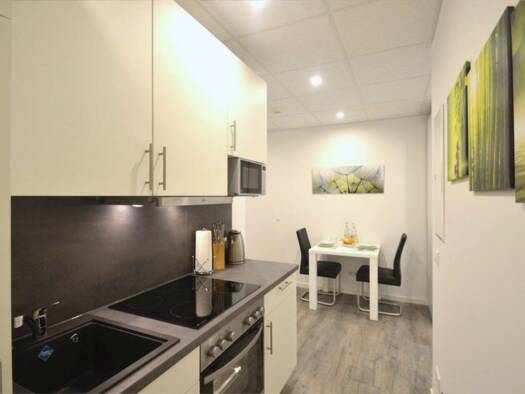 Wohnung zur Miete 745 € 2 Zimmer 31 m² Georg-Mayr-Straße 6 a Marktheidenfeld Marktheidenfeld 97828