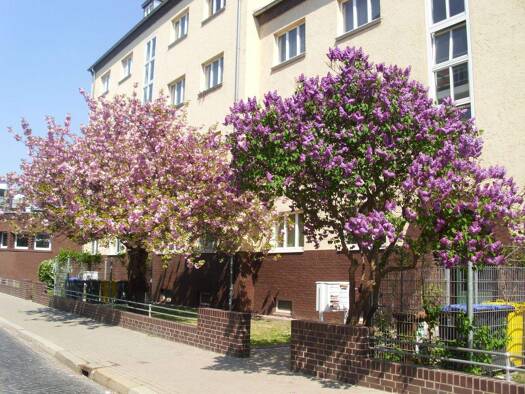 Wohnung zum Kauf 130.000 € 2 Zimmer 65 m² Bremer Straße 26 Krämpfervorstadt Erfurt 99085