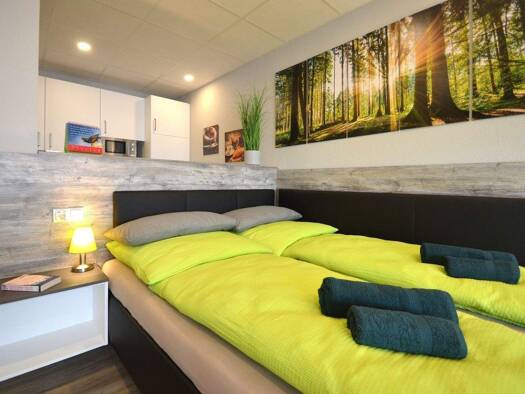 Studio zur Miete auf Zeit 1.345 € 1 Zimmer 50 m² Georg-Mayr-Straße 8 Marktheidenfeld Marktheidenfeld 97828