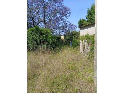 Chalet zum Kauf 125.000 € 4 Zimmer 143 m² 2.879 m² Grundstück Sant Mateu 340 Benicarló 12580