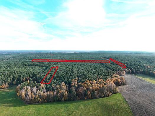 Grundstück zum Kauf 28.000 € 43.020 m² Grundstück nahe Schönbacher Straße Gottschdorf Neukirch 01936