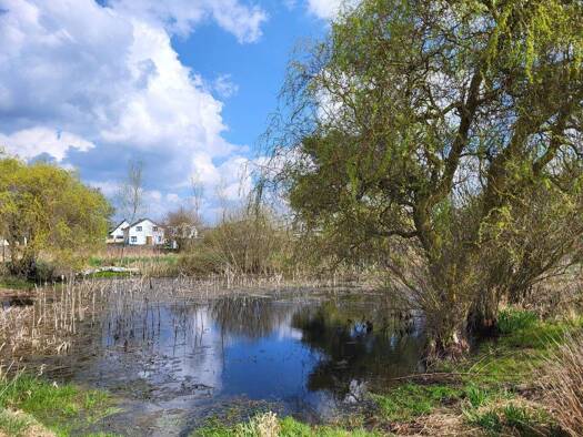 Grundstück zum Kauf 2.455 m² Grundstück Heiligenhagen Satow 18239