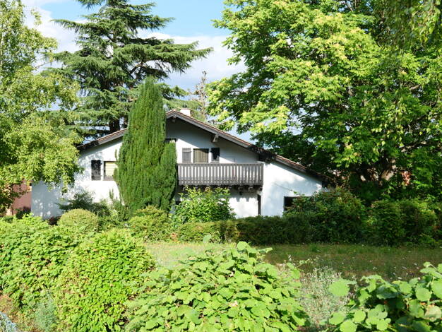 Einfamilienhaus zum Kauf 975.000 € 8 Zimmer 270 m² 1.391 m² Grundstück Grünstadt 67269