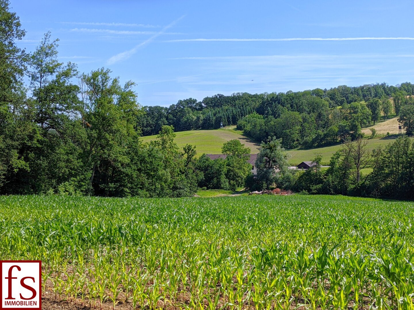 Land-/Forstwirtschaft zum Kauf 200.000 m²<br/>Grundstück Scharten 4612